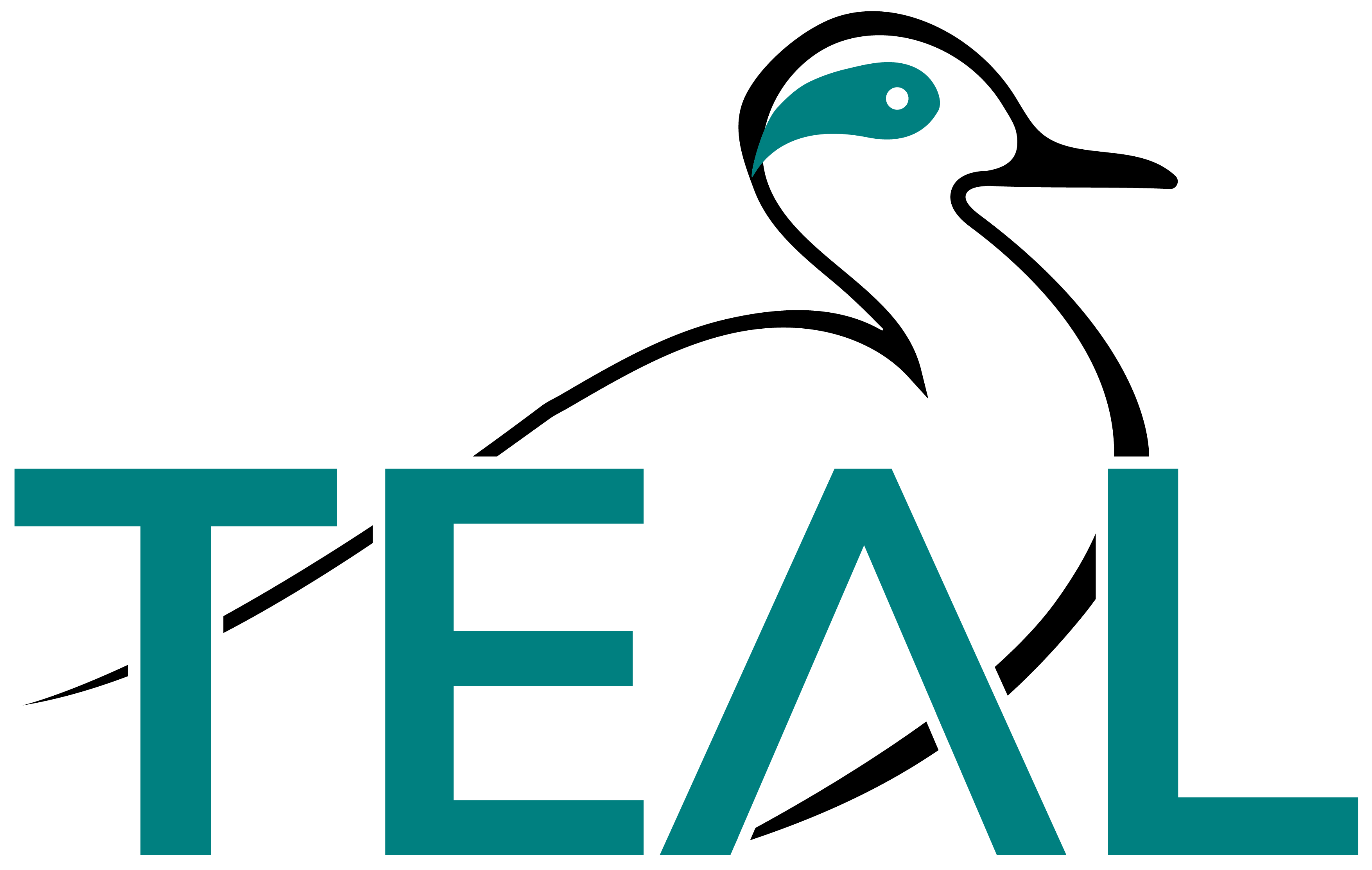 TEAL Systems logo